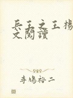 兵王之王杨奇全文阅读