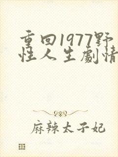 重回1977野性人生剧情