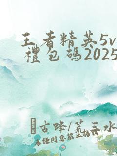 王者精英5v5 礼包码2025