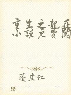 重生之龙在都市小说免费阅读笔趣阁