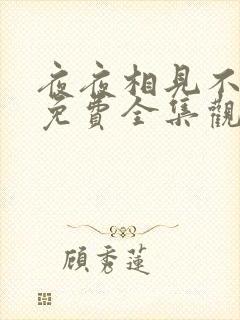 夜夜相见不识君免费全集观看