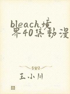 bleach境界40集动漫免费看全集