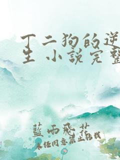 丁二狗的逆袭人生 小说完整