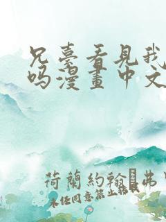 兄台看见我弟了吗漫画中文完结版