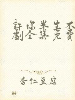 许你半生不见短剧全集免费