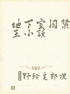 地下室囚禁双男主小说