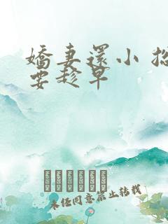 娇妻还小 总裁要趁早