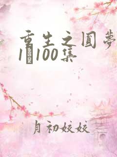 重生之圆梦人生1–100集