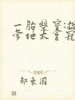 一胎双宝:总裁爹地太会宠