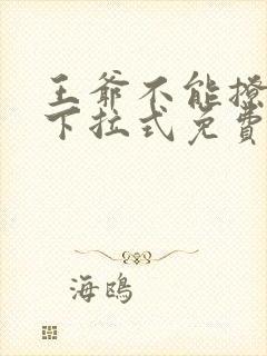 王爷不能撩漫画下拉式免费六漫画