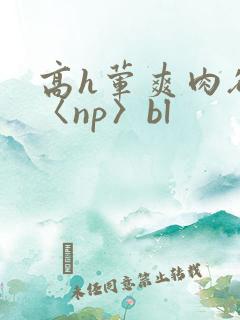 高h荤爽肉欲文〈np〉bl