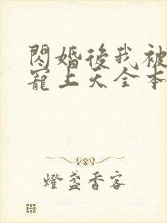 闪婚后我被大佬宠上天全本小说