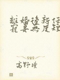 离婚后新任老公宠妻无度短剧免费观看