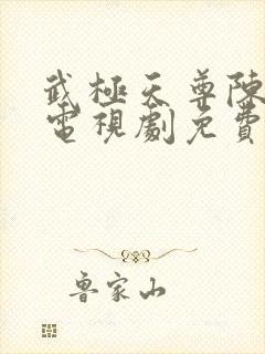 武极天尊陈天极电视剧免费观看