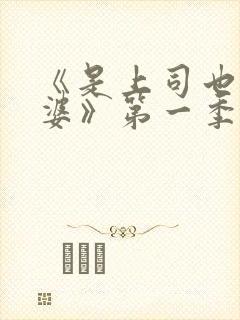 《是上司也是老婆》第一季动漫免费观看