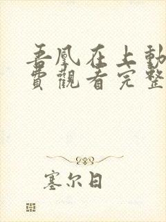 吾凰在上动漫免费观看完整版