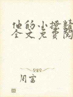 他的小撩精小说全文免费阅读