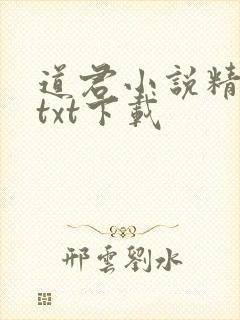 道君小说精校版txt下载