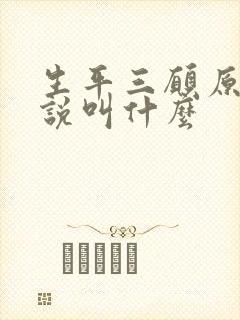 生平三愿原著小说叫什么