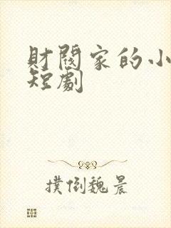 财阀家的小儿子短剧