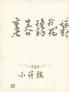 重生后我嫁给了老公的死对头 短剧