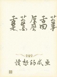 舌苔厚舌苔发白是怎么回事