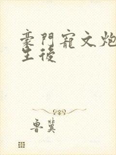 豪门宠文炮灰重生后