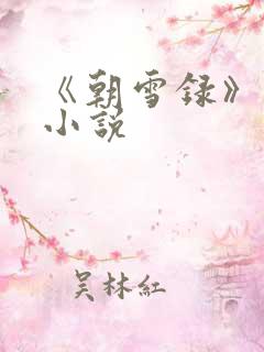 《朝雪录》原著小说
