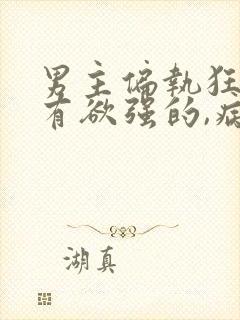 男主偏执狂,占有欲强的,病态古言