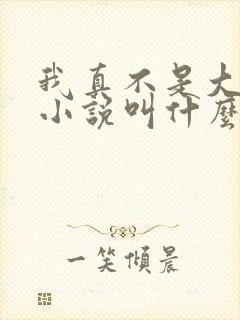 我真不是大反派小说叫什么