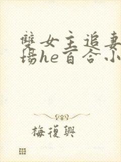 双女主追妻火葬场he百合小说