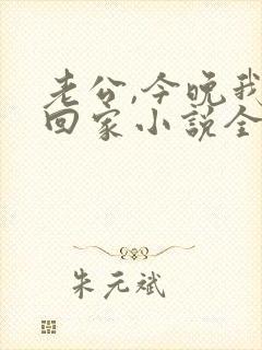 老公,今晚我不回家小说全文阅读