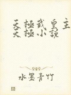 天极武皇主角陈天极小说