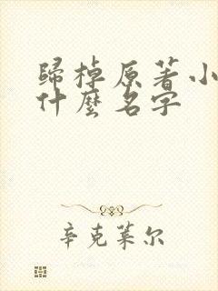 归棹原著小说叫什么名字