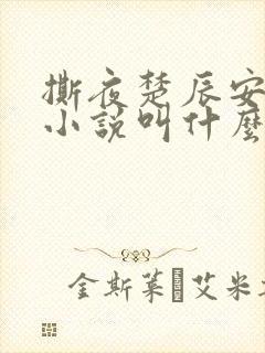 撕夜楚辰安原著小说叫什么
