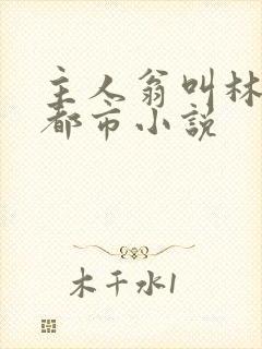 主人翁叫林凡的都市小说