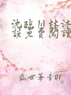 沈临川林沐雪小说免费阅读最新章节