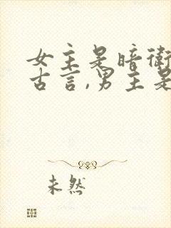 女主是暗卫杀手古言,男主是王爷