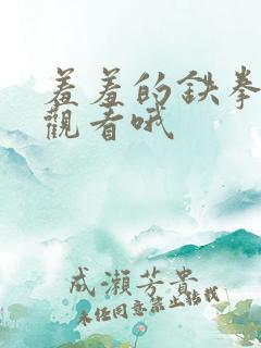 羞羞的铁拳免费观看哦