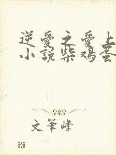 逆爱之爱上情敌小说柴鸡蛋免费阅读