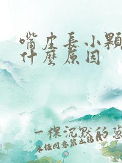 嘴皮长小颗粒是什么原因