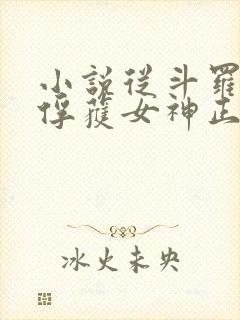 小说从斗罗开始俘获女神正版全文下载