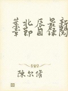 叶北辰最新更新章节目录阅读