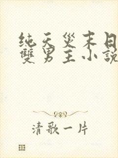 纯天灾末日空间双男主小说