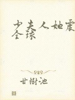 少夫人她震惊了全球