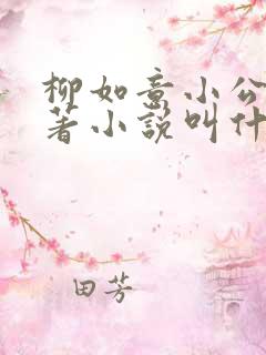 柳如意小公爷原著小说叫什么名字