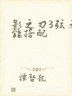 影之刃3弦者技能搭配