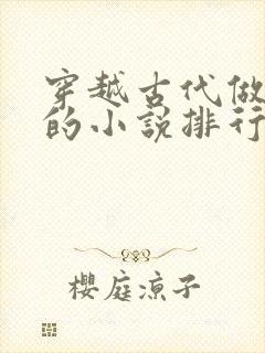 穿越古代做生意的小说排行榜