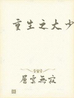 重生之大少归来