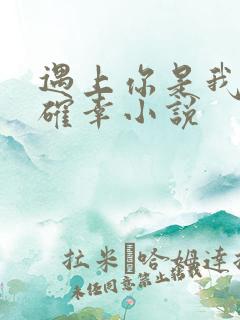 遇上你是我的小确幸小说